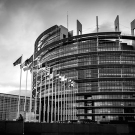 Cover articolo A che cosa serve il Parlamento di Strasburgo